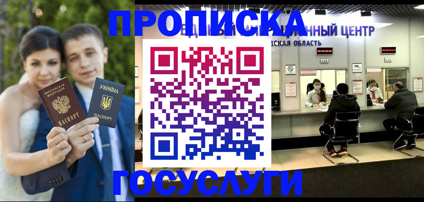 прописка штамп в Волхове